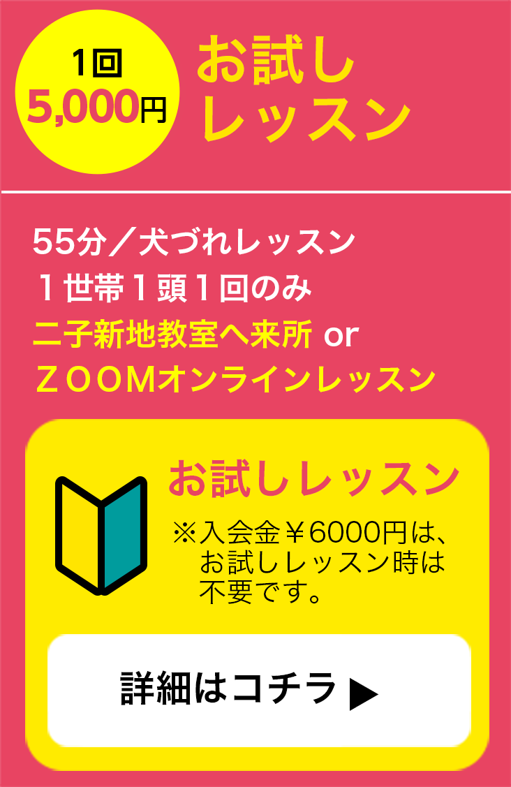 お試しレッスン