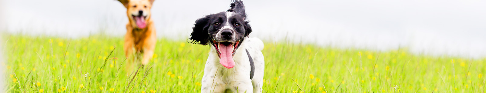 アクセス・施設