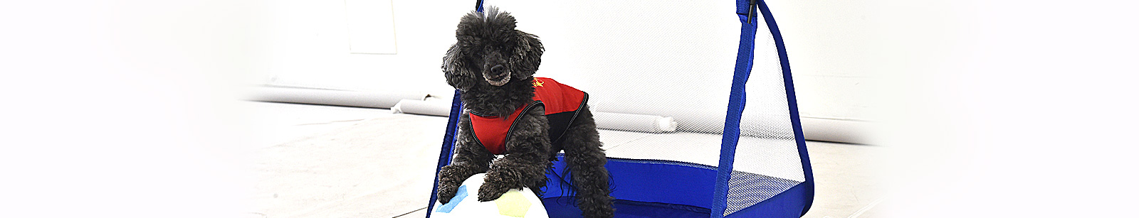 お申込み・お問合せ