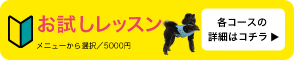 お試しレッスン