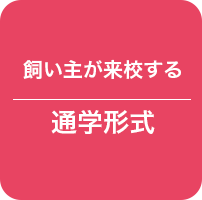 飼い主が来校する通学形式
