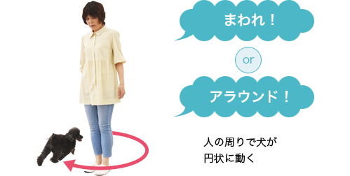 人の周りで犬が円状に動く