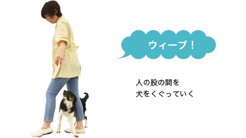 人の股の間を犬をくぐっていく