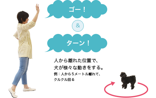 人から離れた位置で、犬が様々な動きをする。例:人から5メートル離れて、クルクル回る