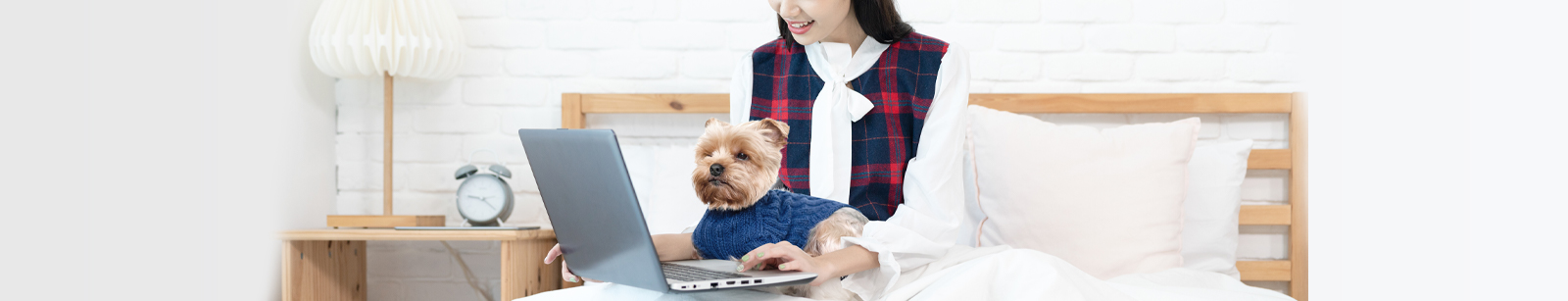 ソロわんクラブ