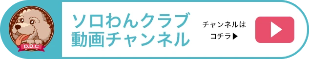 ソロわんクラブ 動画チャンネル