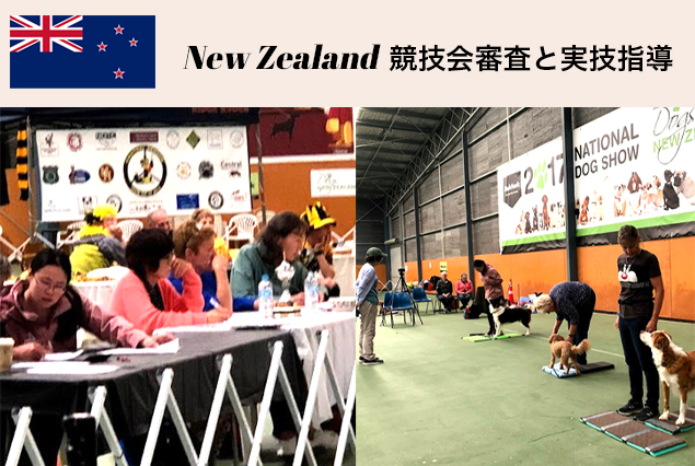 New Zealand競技会審査と実技指導