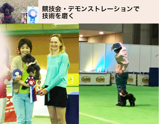 競技会・デモンストレーションで技術を磨く