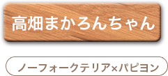 高畑まかろんちゃん