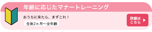 年齢に応じたマナートレーニング