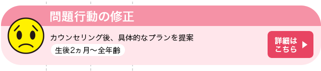 問題行動の修正