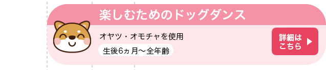 楽しむためのドッグダンス
