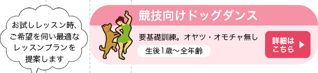 競技会向けドッグダンス