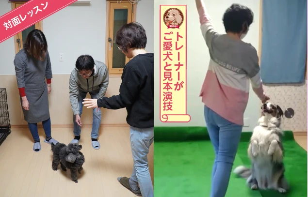 対面レッスン トレーナーがご愛犬と見本演技