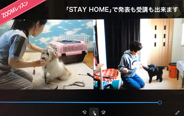 ZOOMレッスン 「STAY HOME」で発表も受講も出来ます